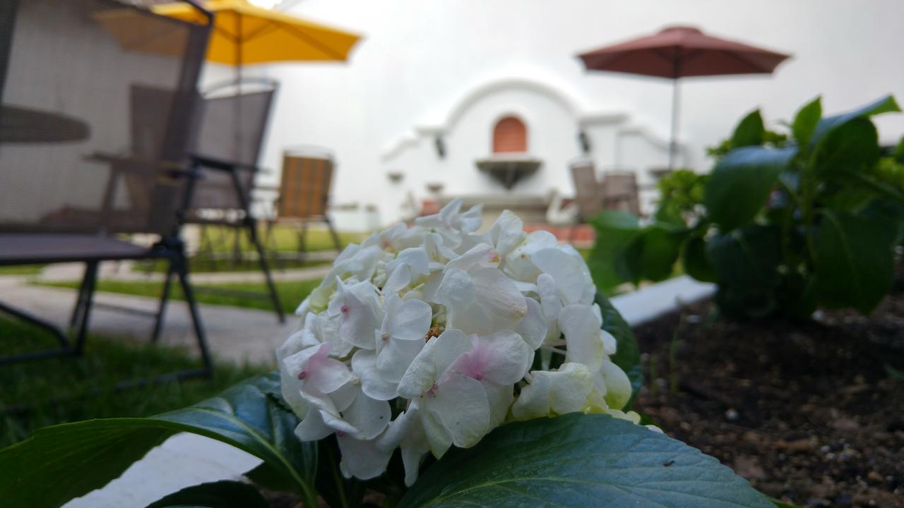 Ixkanul Antigua Hotel Εξωτερικό φωτογραφία
