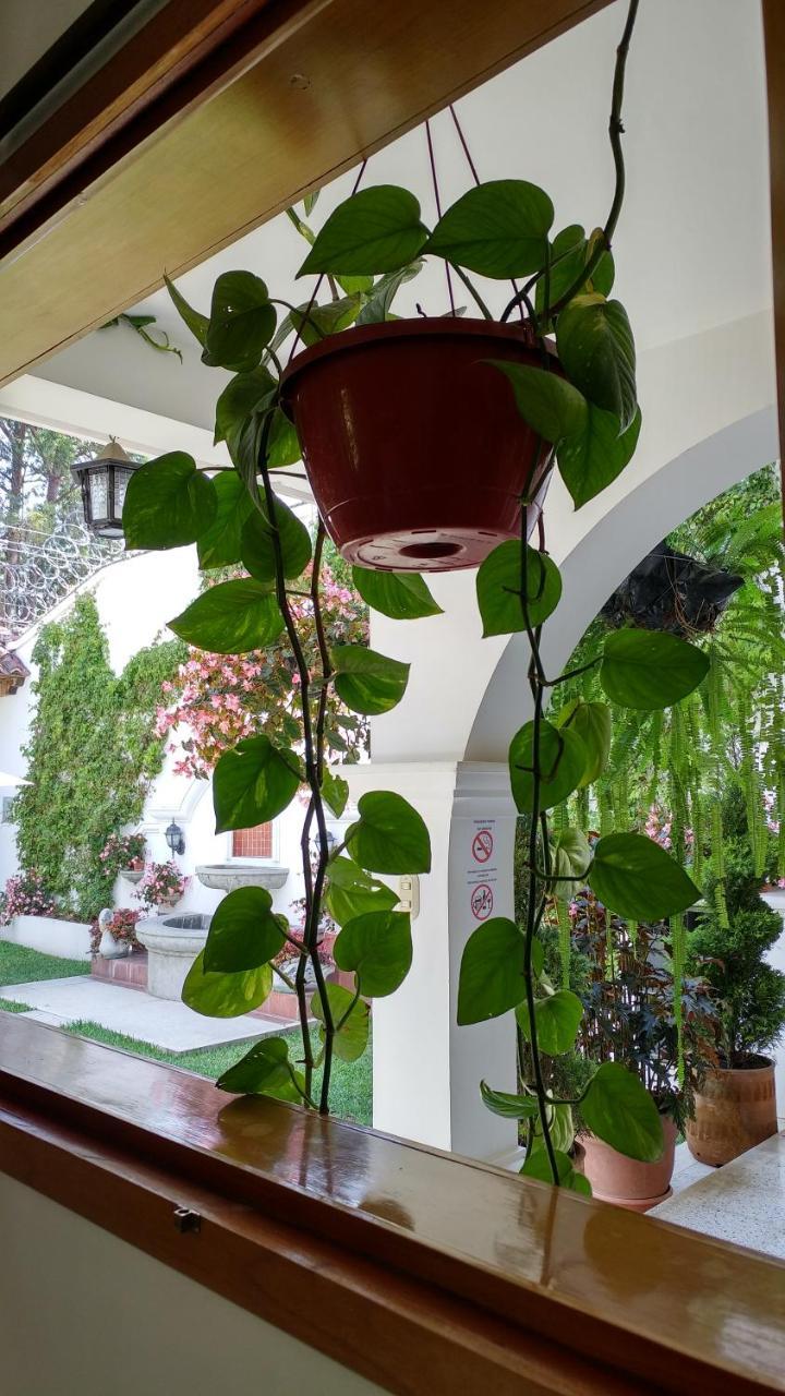 Ixkanul Antigua Hotel Εξωτερικό φωτογραφία
