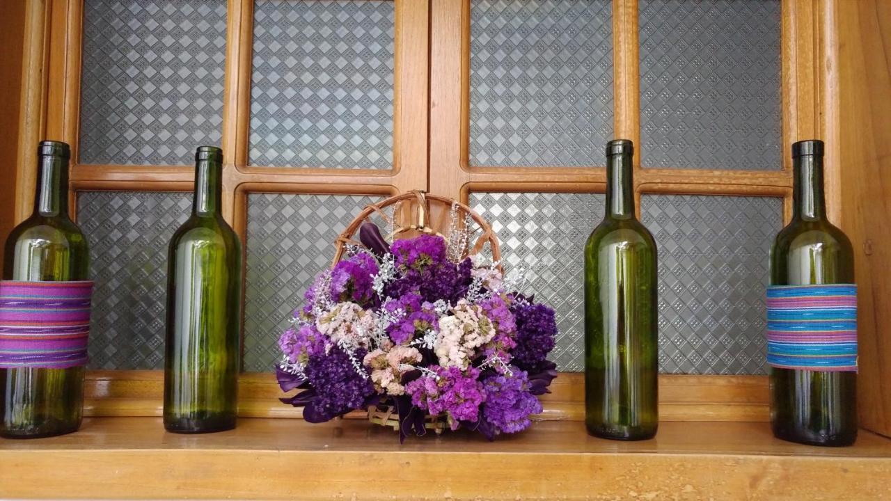 Ixkanul Antigua Hotel Εξωτερικό φωτογραφία